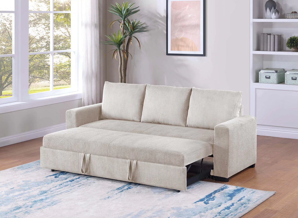 Sleeper Sofa with Pull-Out Bed