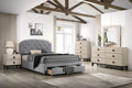 Queen Bed